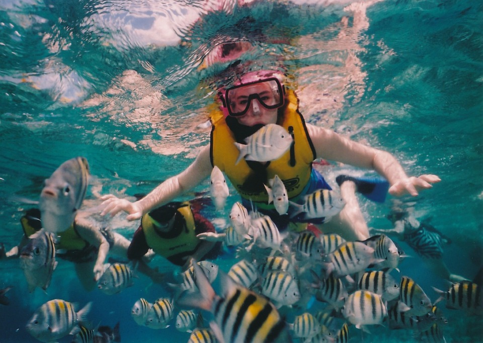 Snorkeling at Salalah
