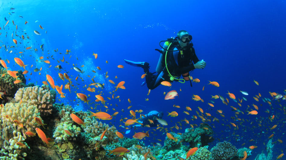 Snorkeling at Salalah