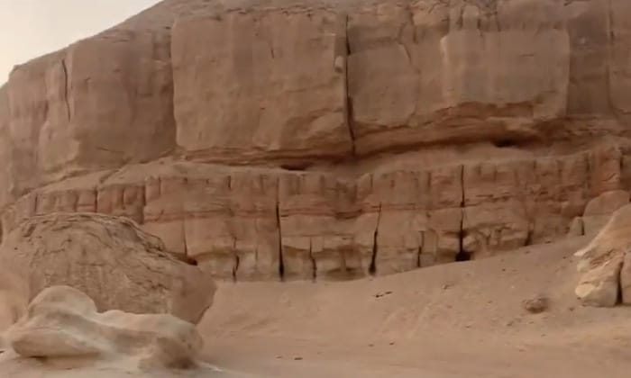 40 minute horse riding experience!