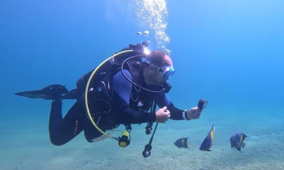 Enjoy diving the underwater museum in The Half Moon logo