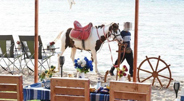 3-Days Recharge Trip in Umluj City