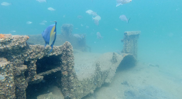 Enjoy diving the underwater museum in The Half Moon