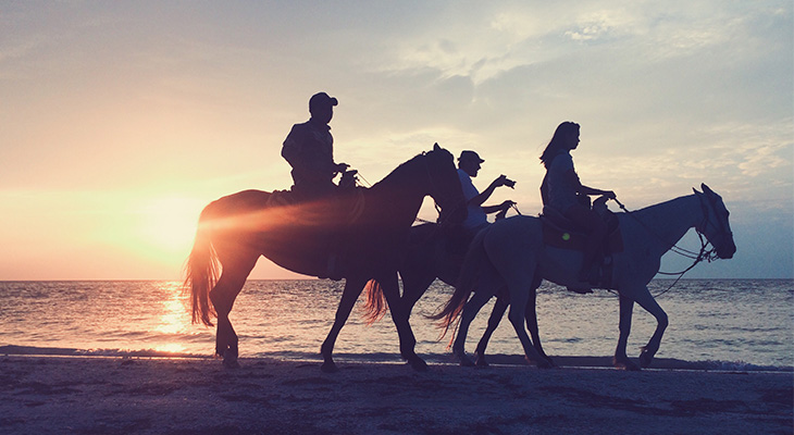 Horse Riding on Umluj Beach 