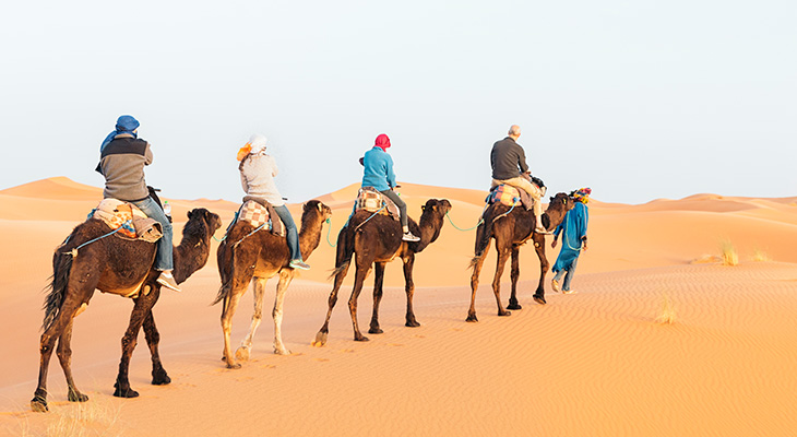 Morning Desert safari in the desert of Dubai with 26% Off