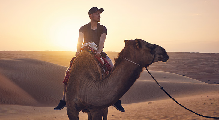 Safari tour & desert activities in Ras al Khaimah