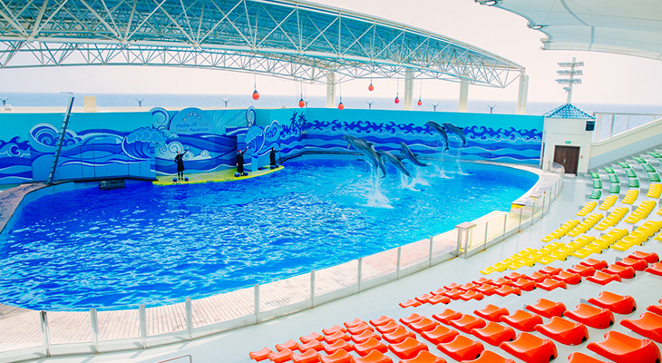 Spend a great time in Fakieh Aquarium & Have fun with the Dolphins