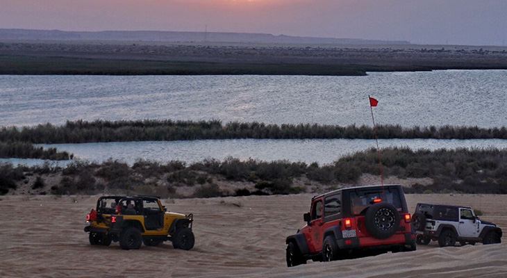 Safari tour in Al Ahsa