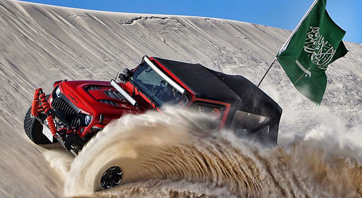 Have a unique experience in Safari tour