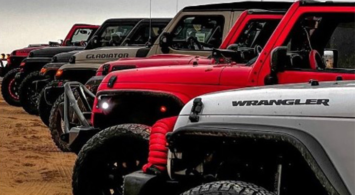 Have a unique experience in Safari tour