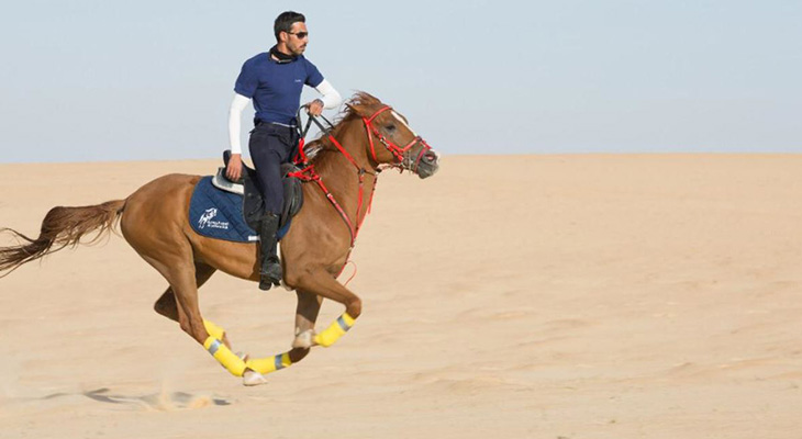 Experience an amazing Horse Riding tour in Khobar