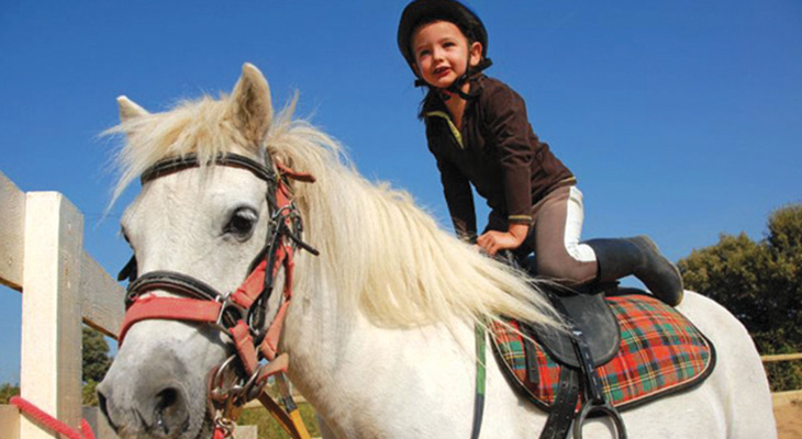 Experience an amazing Horse Riding tour in Khobar