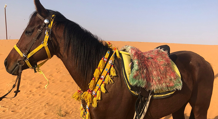 Riyadh: Horse Riding in the Red Sands