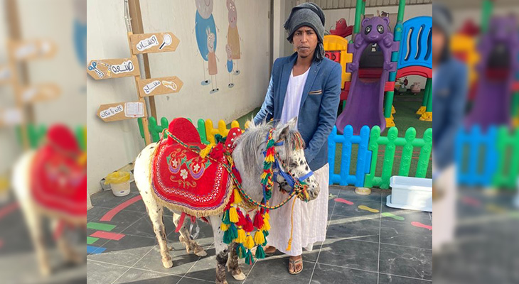 Horses delivery to your door, order now!