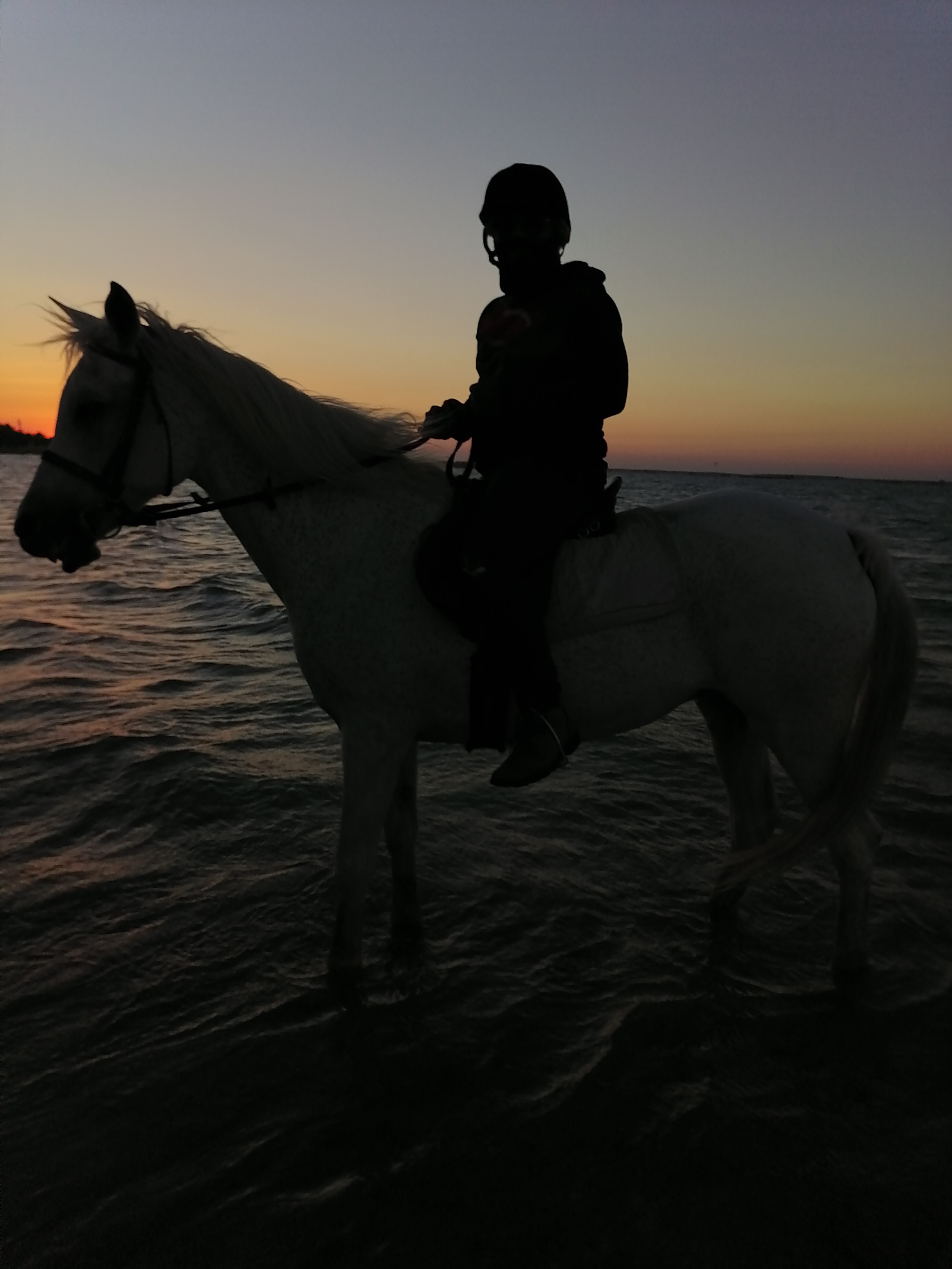 Photo from Reviews 1