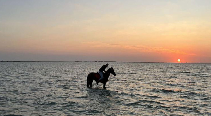 Enjoy Horse Riding on The Beach for 2 Hours + 1 Hour Free