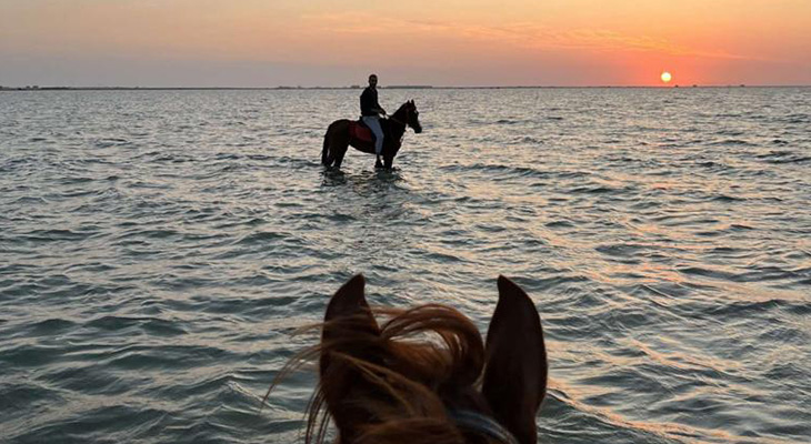 Enjoy Horse Riding on The Beach for 2 Hours + 1 Hour Free