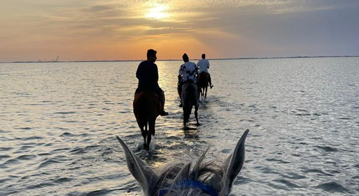 Enjoy Horse Riding on The Beach for 2 Hours + 1 Hour Free