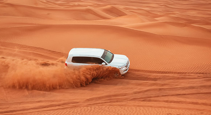 Elite Evening Safari Tour with 20 % Off