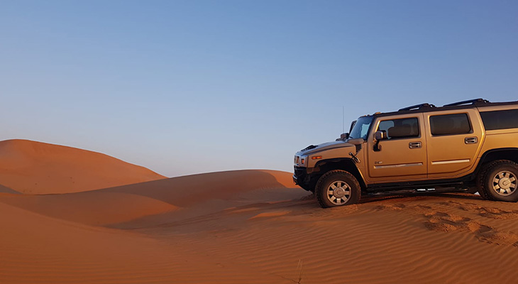 Standard Evening Safari Tour with 20% Off