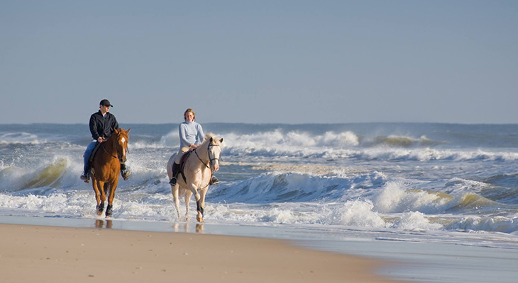 Camel or  Horse Beach Ride in Oman 