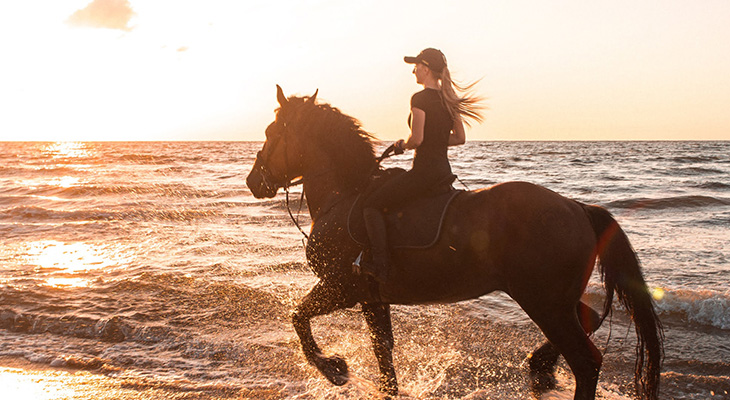 Horse Riding on the Beach in Salalah for 2 Hours