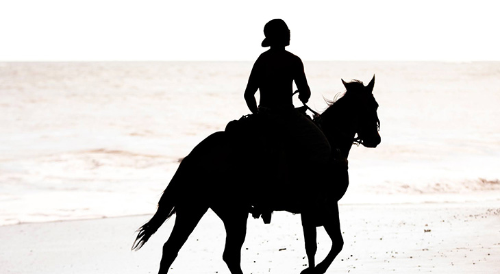 Horse Riding on the Beach in Salalah for 2 Hours