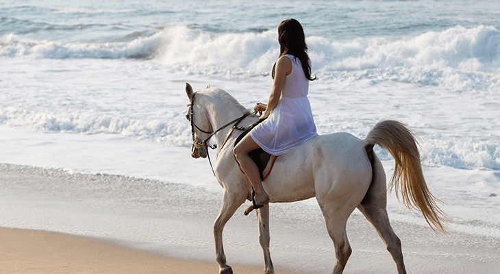 Horse Riding on the Beach in Salalah for 2 Hours