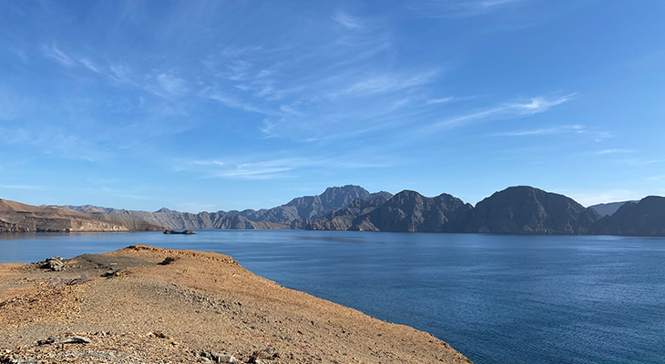 Full Day Dhow Cruise with 11% off