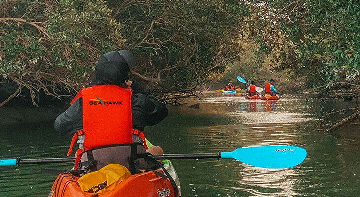 Abu Dhabi: 2-hour Kayak Tour in the Mangroves