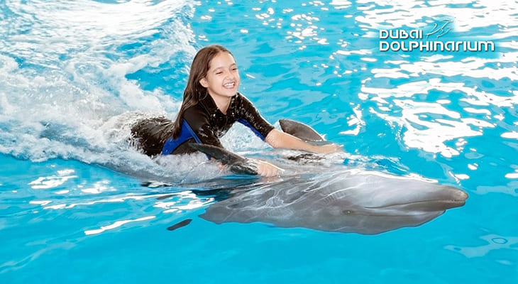 4% Off Dubai Dolphinarium (Dolphin and Seal Show)