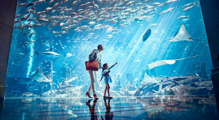 Superpass Ticket  in Atlantis with the largest water sliders + the lost Chambers Aquarium