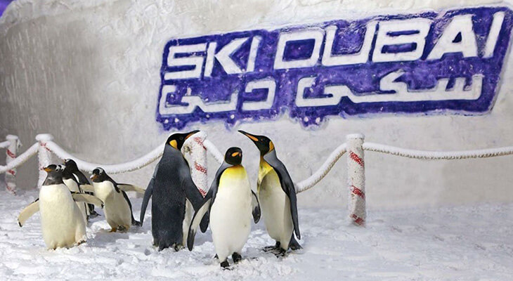 Ski Dubai: Full Day Snow Plus Pass