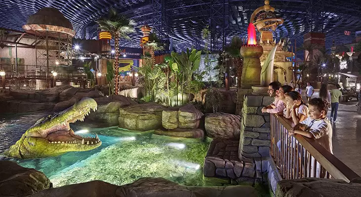 Book 1 Tickets IMG World+Get the Second Ticket with 14% off 