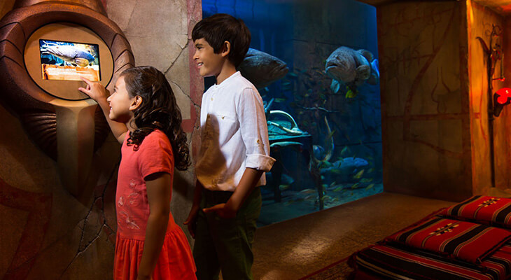 One Hour and Half Atlantis Lost Chambers Aquarium Ticket