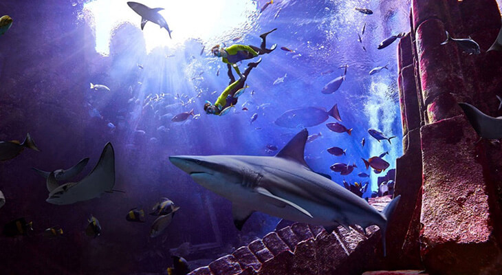 Atlantis Ultimate Snorkel Experience for 35 Mins