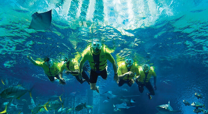 Atlantis Ultimate Snorkel Experience for 35 Mins