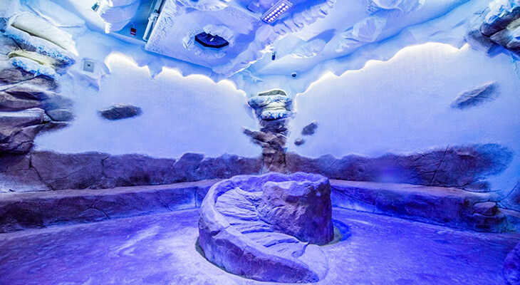 Dubai Aquarium and Underwater Zoo with Penguin Cove Tickets