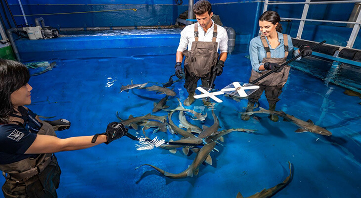 3-Hours at Dubai Aquarium and Underwater Zoo