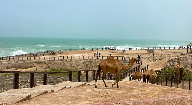 Mountain Tour in The East Path in Oman