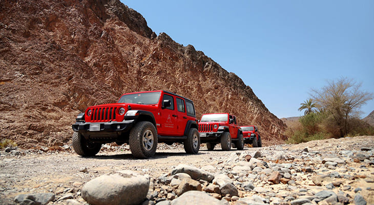 Jeep Safari Trip for 4 Hours