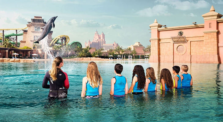 One Hour Tour at Dolphin Bay Lagoon