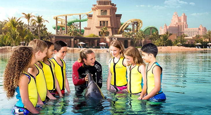 One Hour Tour at Dolphin Bay Lagoon