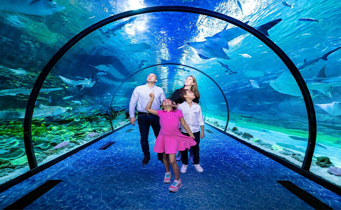 Two hours at the National Aquarium Abu Dhabi