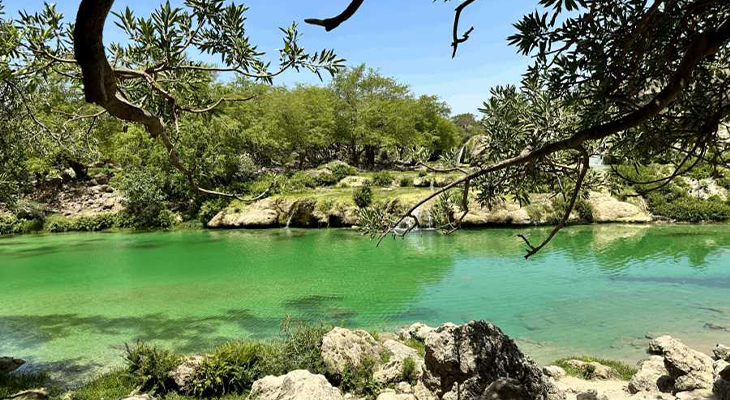 5-Hour Private Half-Day Trip in Salalah