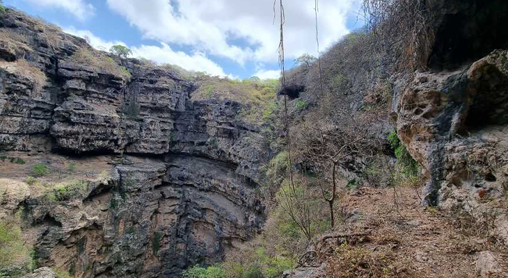 5-Hour Private Half-Day Trip in Salalah