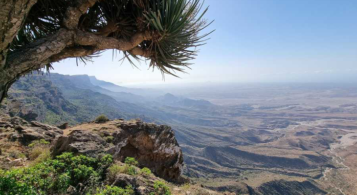 5-Hour Private Half-Day Trip in Salalah