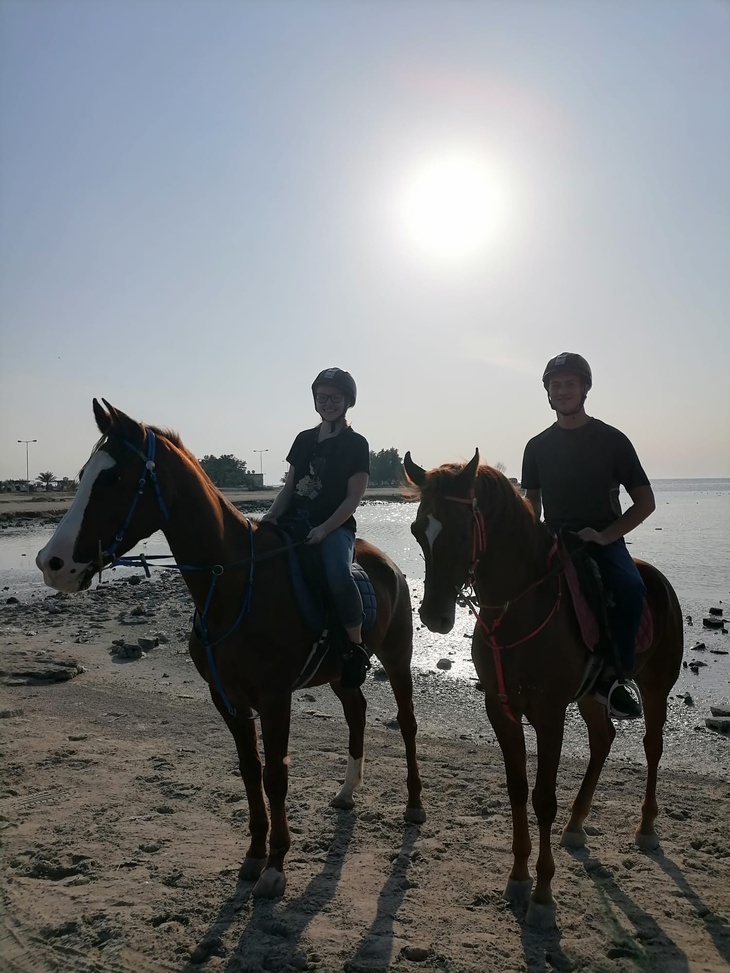 Photo from Reviews 4