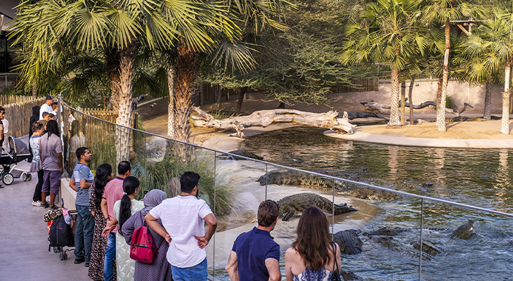 Adventure for 1.5 Hours General Admission to Dubai Crocodile Park