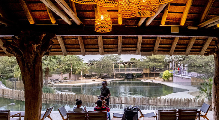 Adventure for 1.5 Hours General Admission to Dubai Crocodile Park