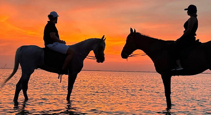 Horse Riding Tour Along Ashour Beach, Jeddah with 20% off  